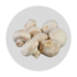 champignons.png