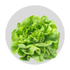 salade.png